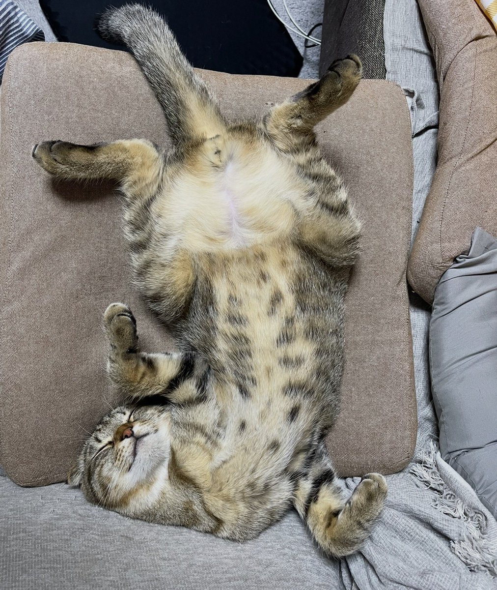 めるちー (@mel_0107m) / Posts / X