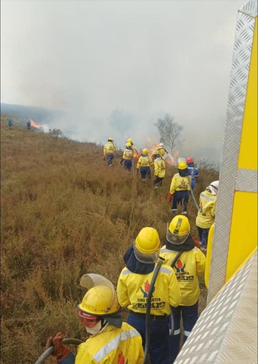 WOF-Kishugu JV tweet media