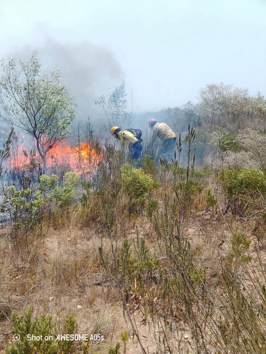 WOF-Kishugu JV tweet media