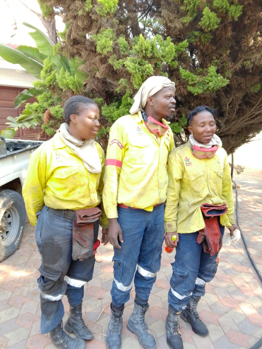 WOF-Kishugu JV tweet media