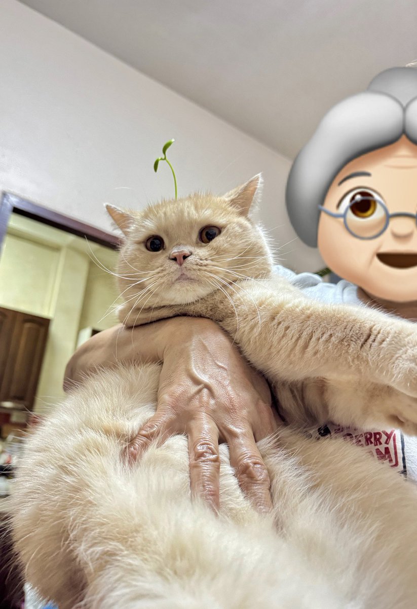 บีมกับน้องๆ tweet media