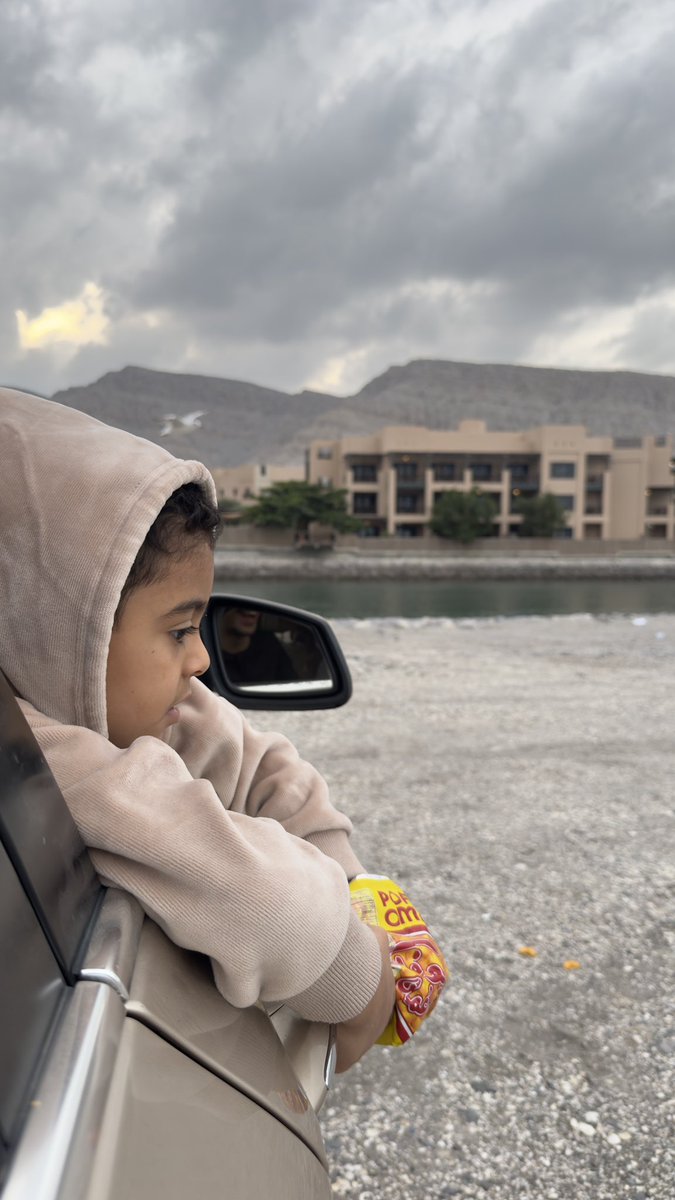 عـلي الشحـي tweet media