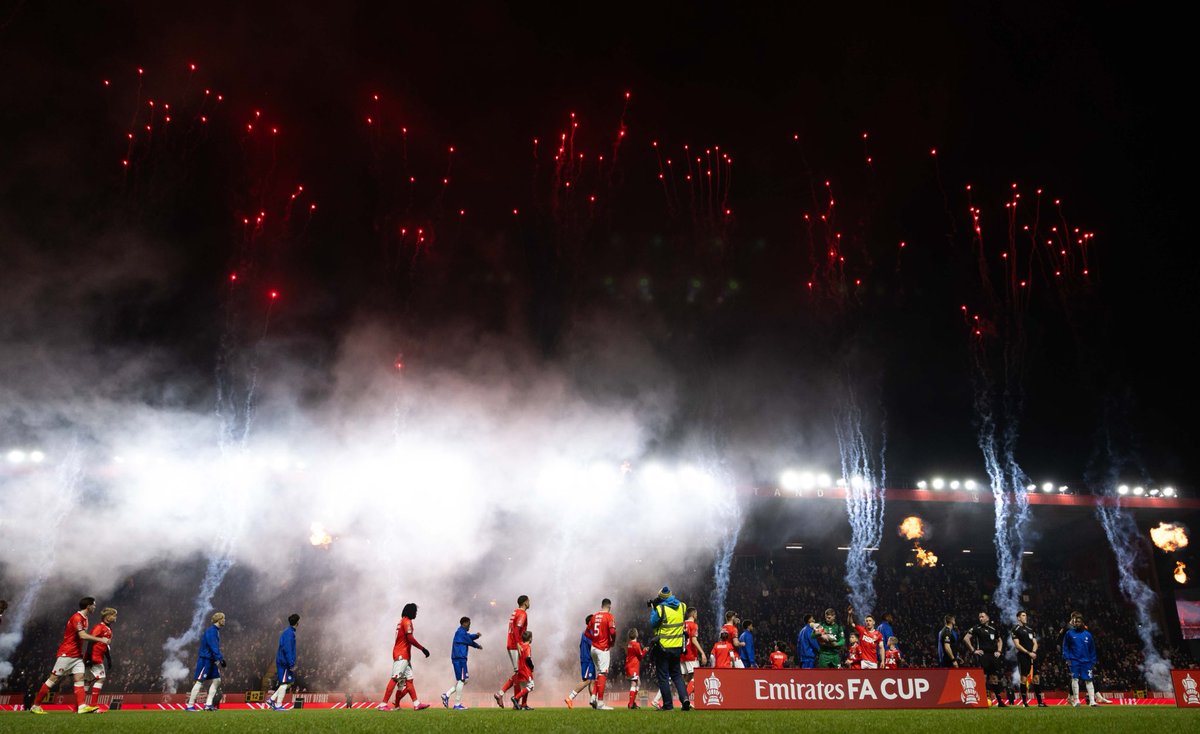 Will Mannion tweet media