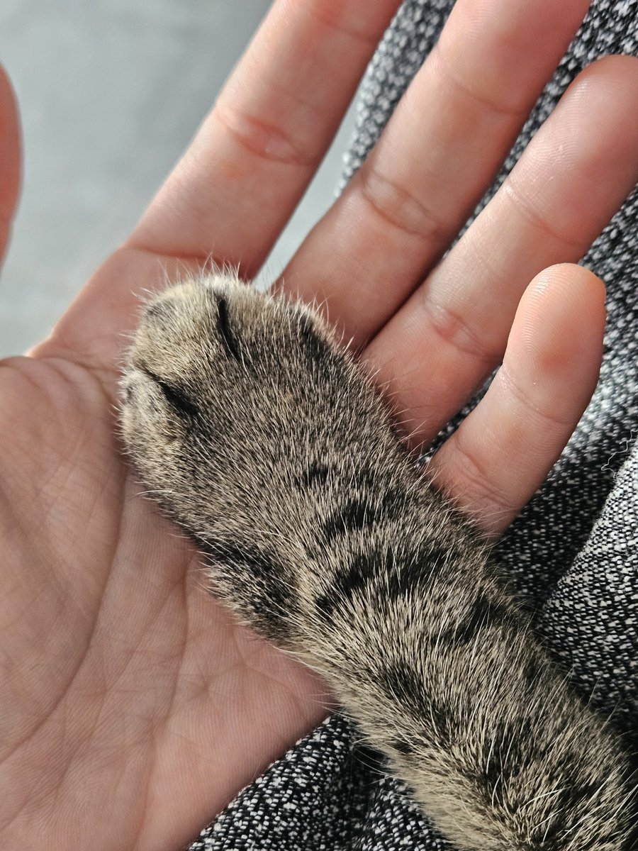 Elsa Guerra (@elsa_g14) on Twitter photo 