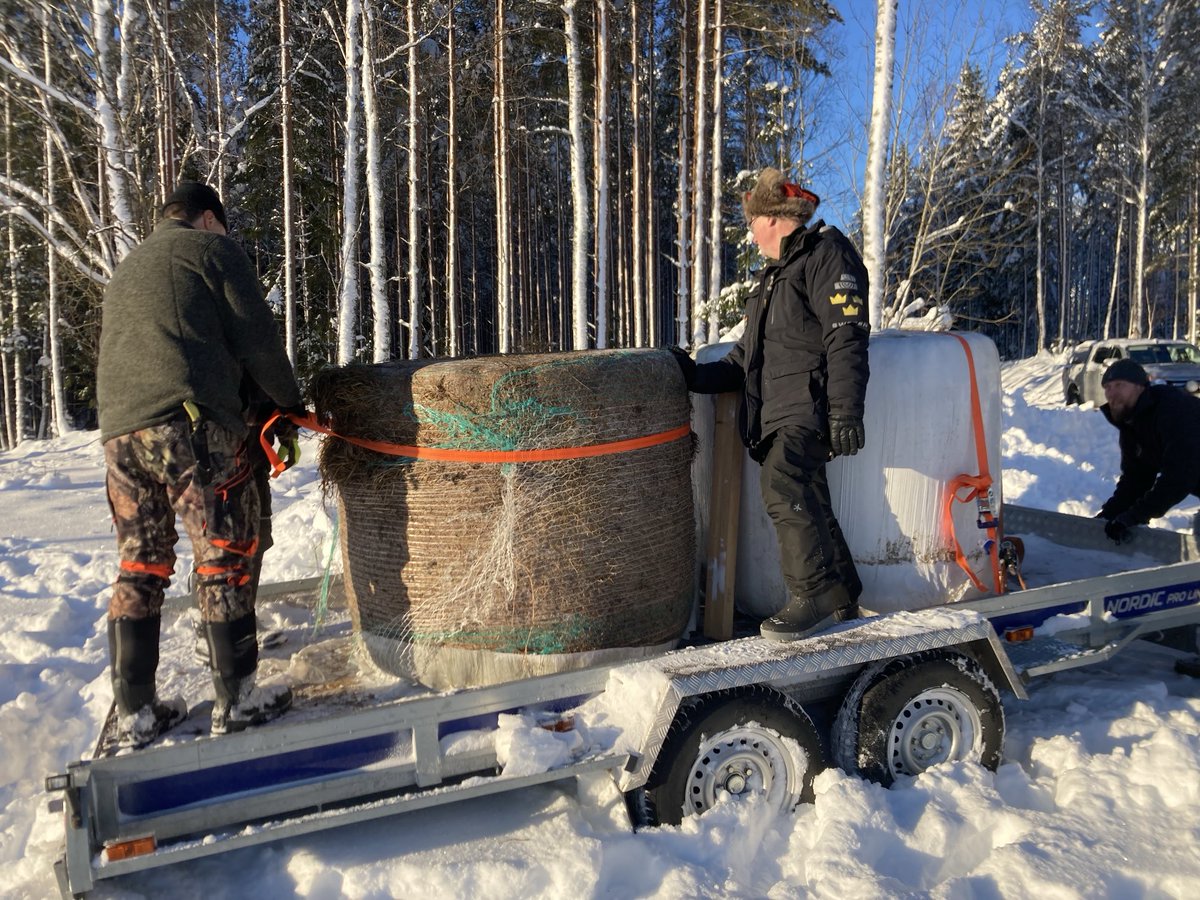 Anders Ljung tweet media