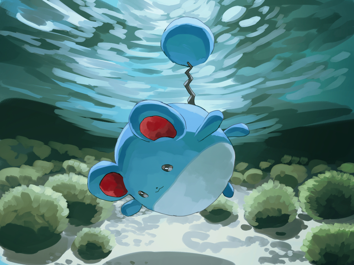 fusenryo2's tweet image. #マリルの日 #ポケモン版深夜の真剣お絵描き60分一本勝負