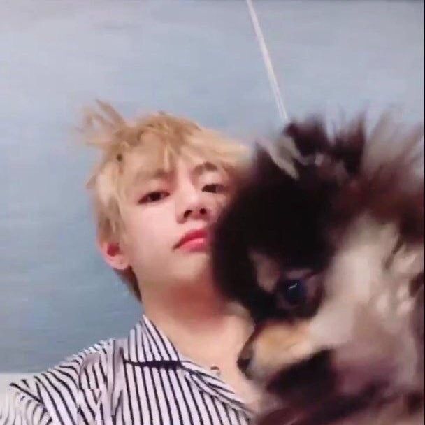 daisthvy's tweet image. he's so..😭