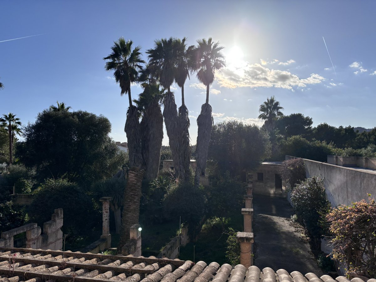 Ein weiteres Kapitel meines Lebens geht zu Ende. Tschüss Mallorca