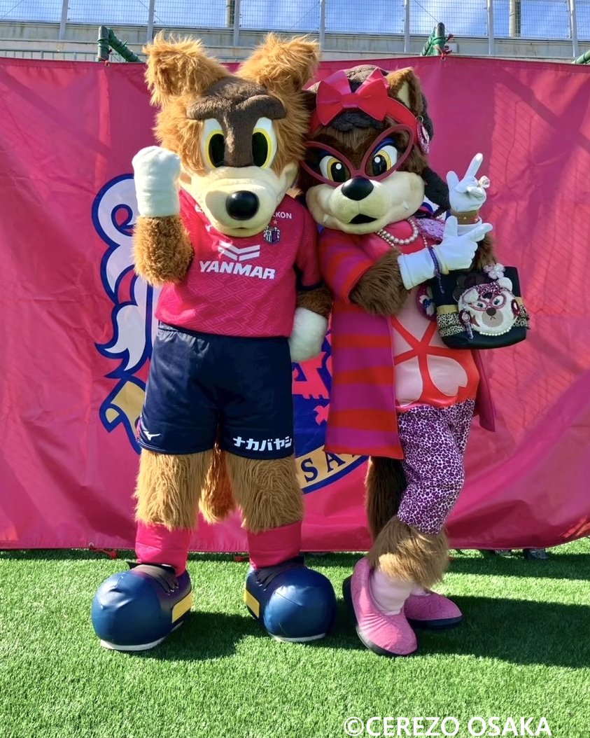 セレッソ大阪グッズ【公式】 (@cerezo_goods) / Posts / X