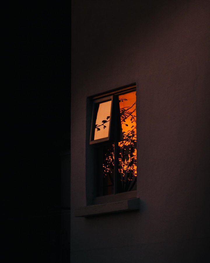 "Nosce tempus." 
"Doğru zamanı bekle."