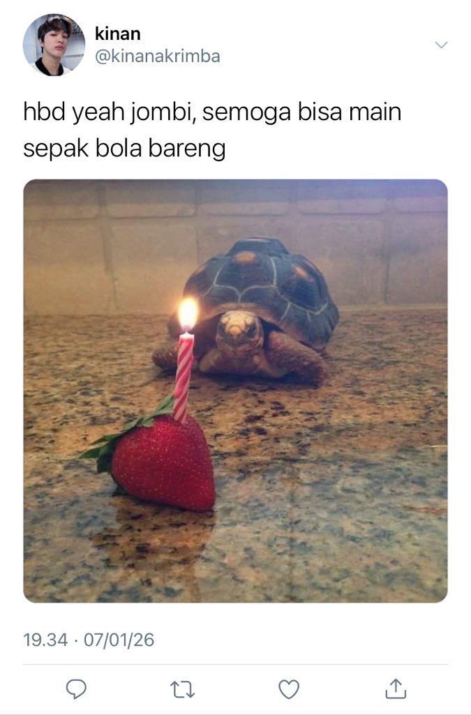 smollystar's tweet image. cortis few tweets au