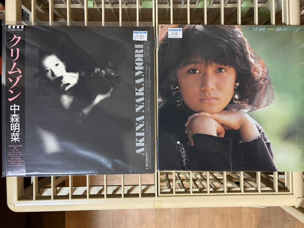 本日の収穫〜‼️ 500円引きクーポンが出ていた2店舗に行って来ました