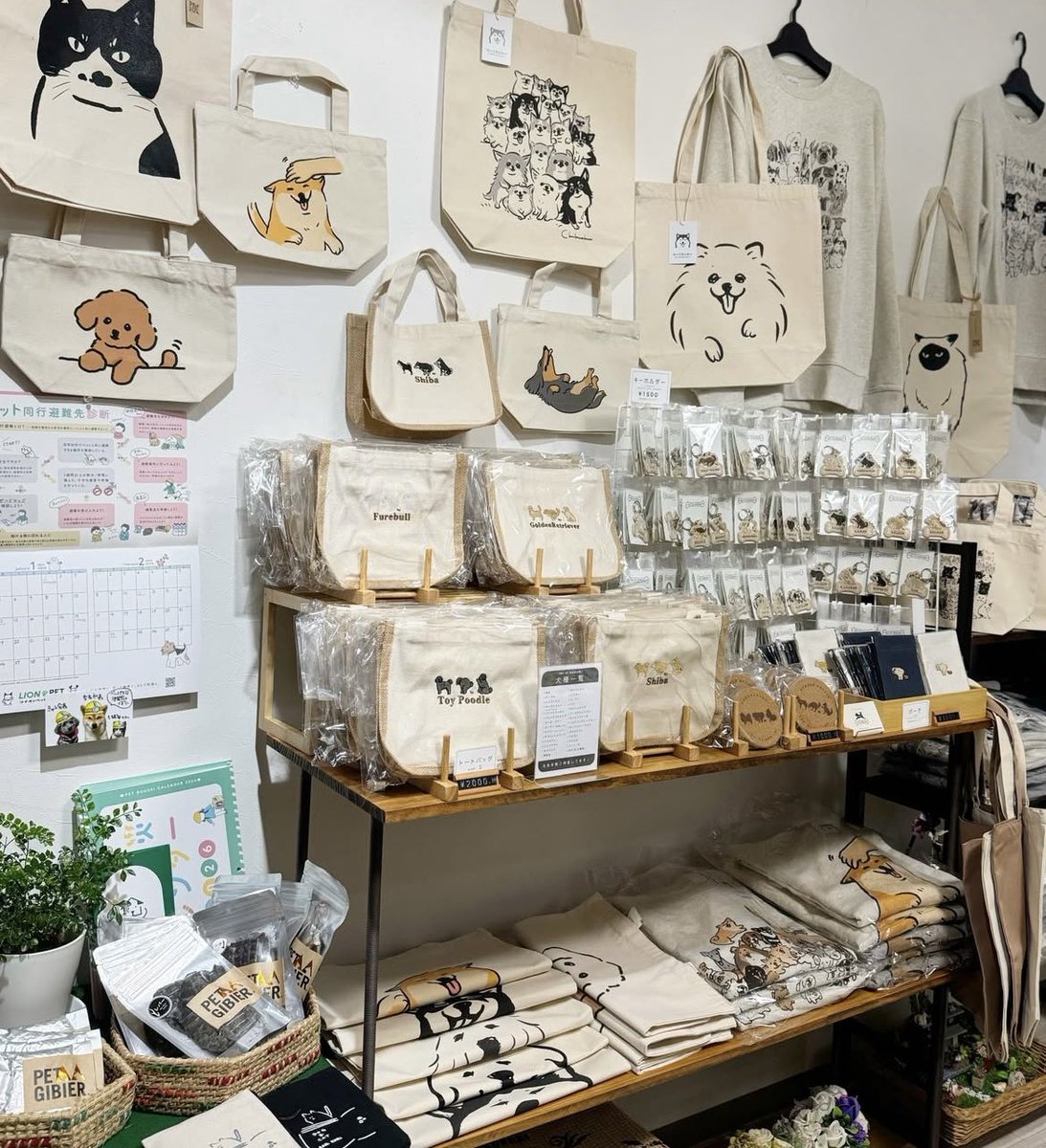 せいこせんせい(犬) (@seikosense) / Posts / X