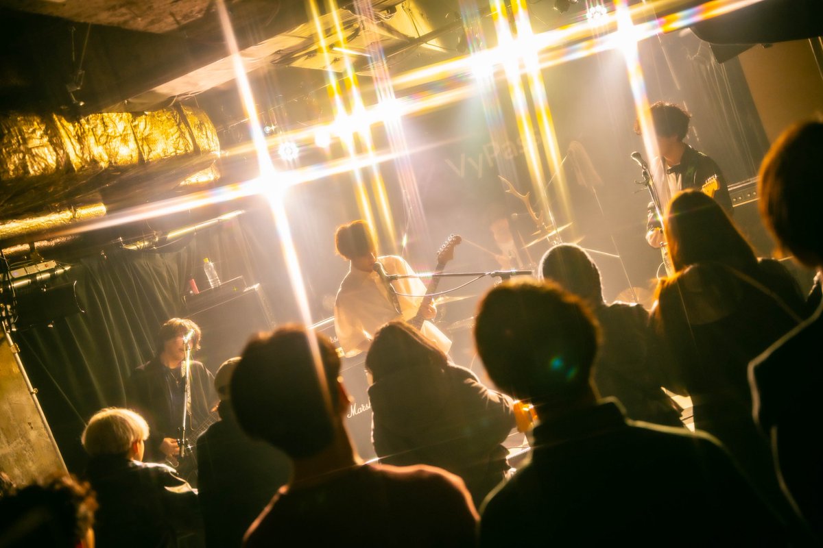 クロロフィルム tweet media