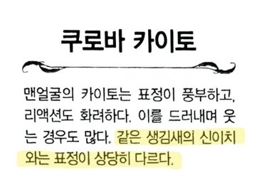 쿠도신이랑 쿠로바카이토 본체 같이 있으면 카이토가 쿠도신인척 연기하지 않는한 무조건 구분할수 있음 애초에 머리 스타일 다르기도 하지만
공식에서못박았는걸 <