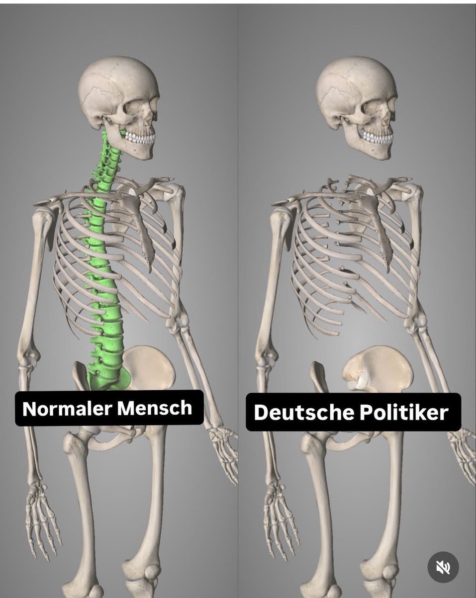DerMedienfuzzi tweet media
