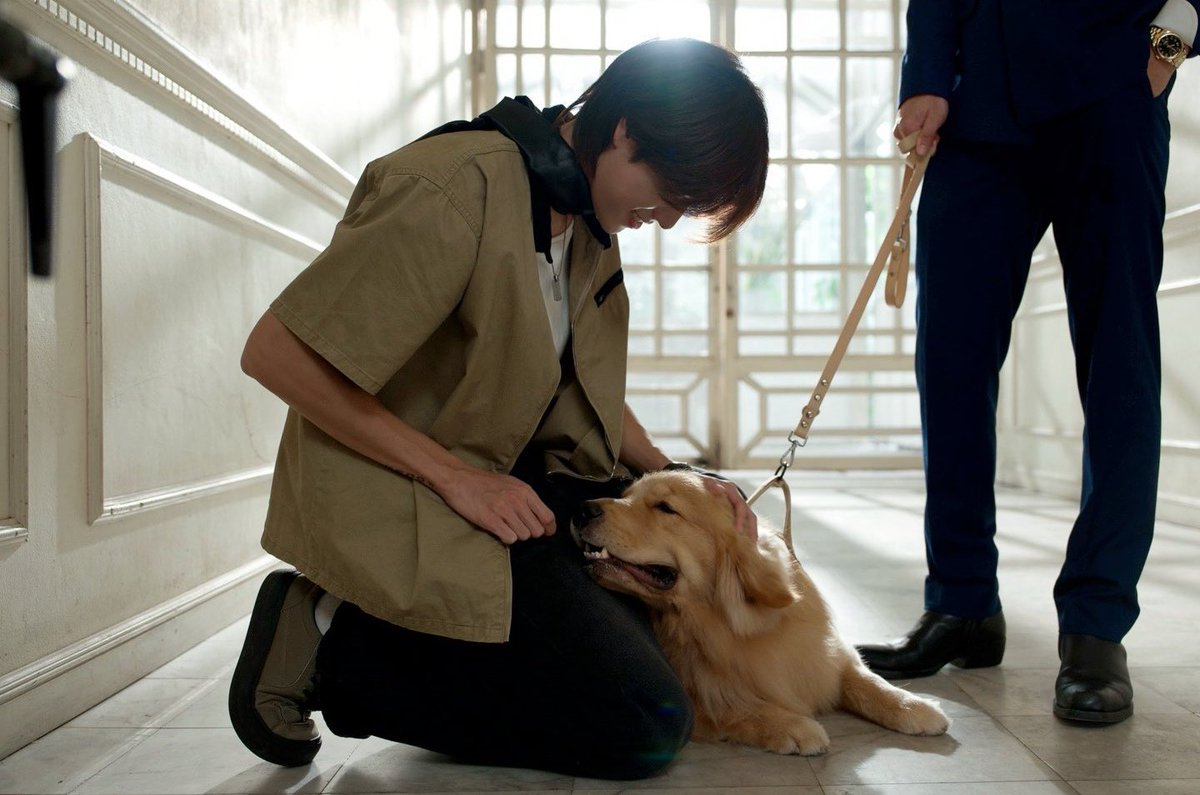 no matter the breed everybody can sense who's the mom of the House