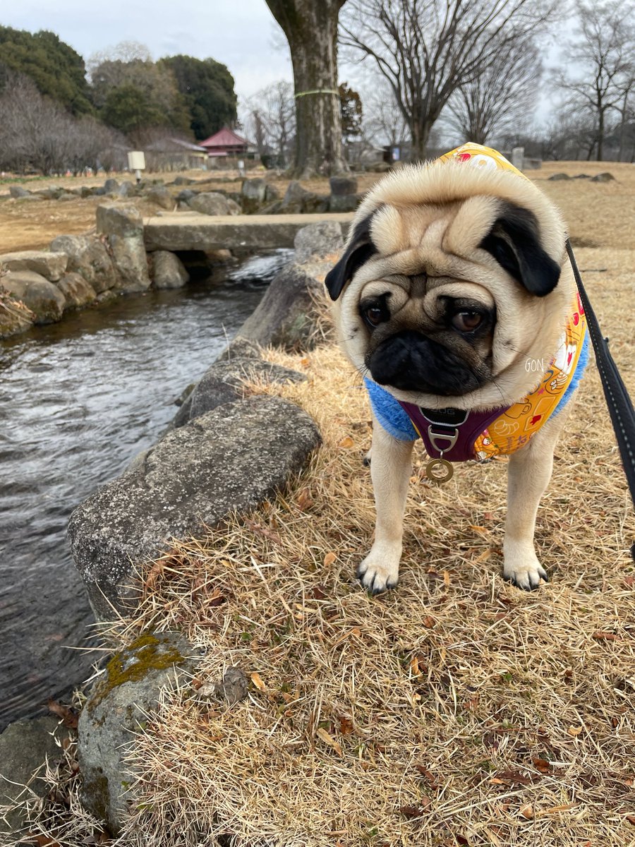 ちょっとお水覗いていい？？😏