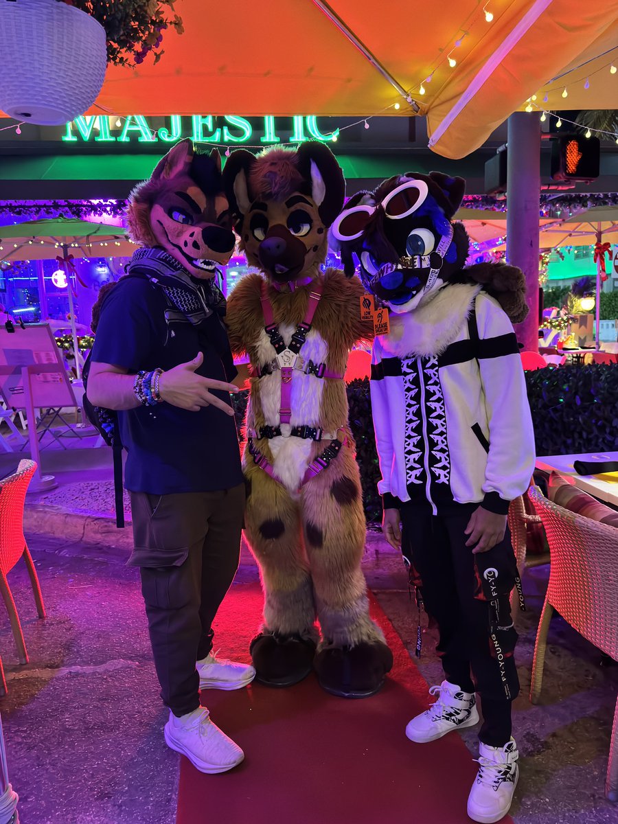 WolfLessTheRex's tweet image. Me and the boys in Miami @WufferF @ringohyena 

#furry #furryfandom #FursuitFriday #fursuit #Miami #furrycommunity #fursuiter