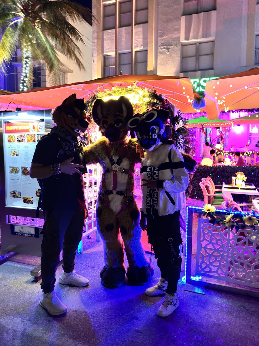 WolfLessTheRex's tweet image. Me and the boys in Miami @WufferF @ringohyena 

#furry #furryfandom #FursuitFriday #fursuit #Miami #furrycommunity #fursuiter