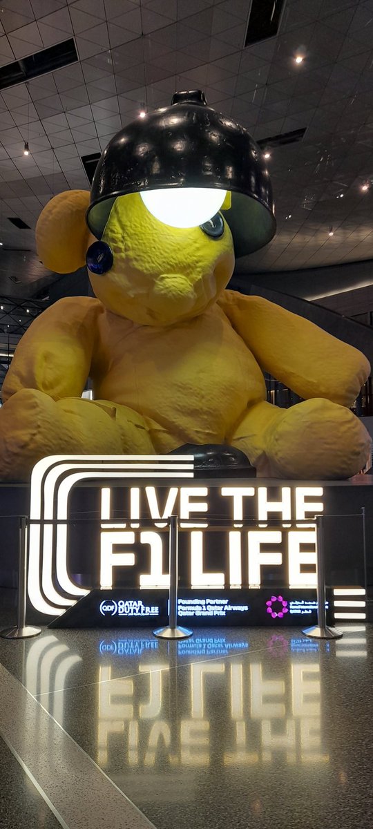 Stephanie Gerken tweet media