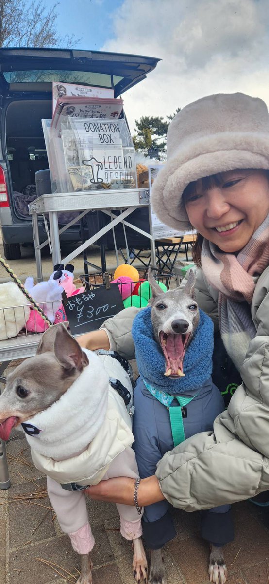 白い服の子は里親募集中のイリーナちゃんです💓 青はうちのイケメン