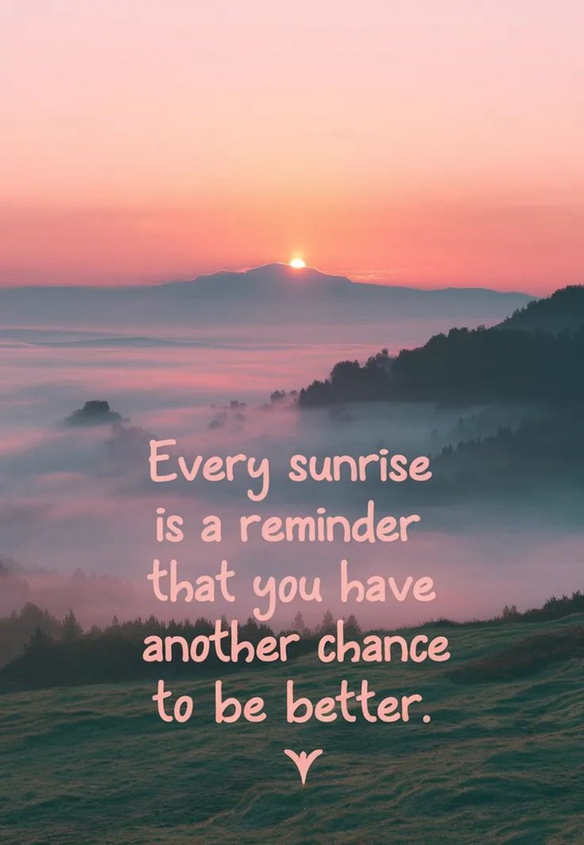 ladychell's tweet image. 