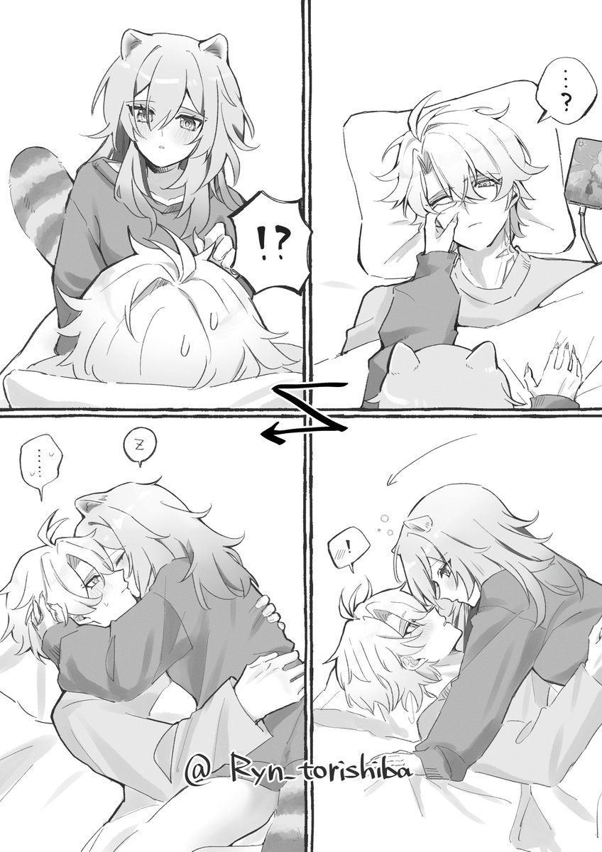 Ryn_torishiba's tweet image. 二度寝する🦝🌟
#ファイ星 #Phaistelle