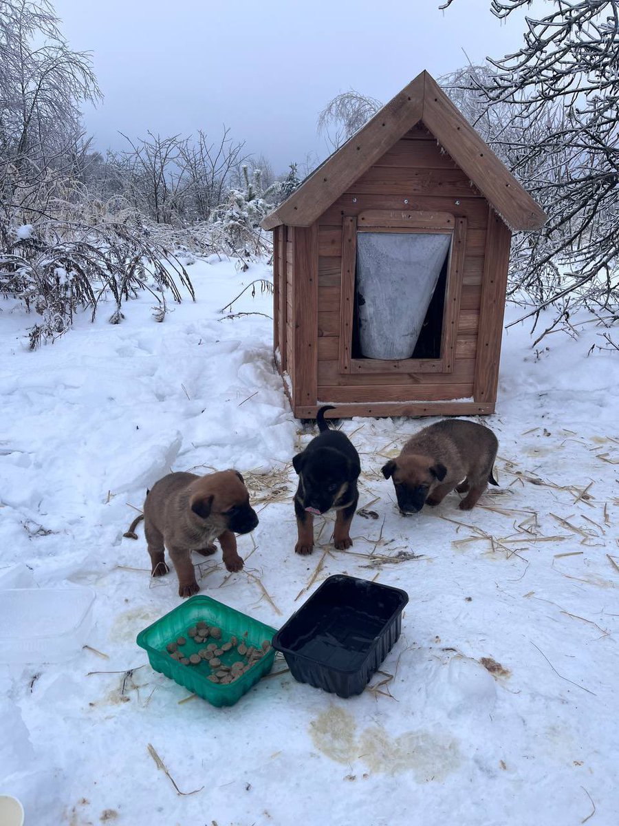 як умру, то пох tweet media