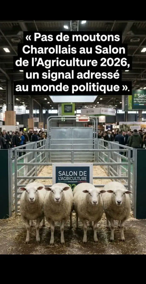 womandream's tweet image. SALON DE L'AGRICULTURE 2026
Les désistements se poursuivent..Aprés les vaches, les moutons ..Il y aura qui à part 😈 pour y faire un de ses nombreux cirques ?
