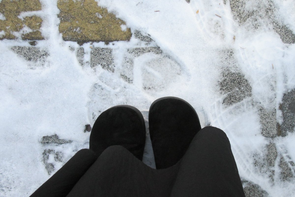 눈 내린 다음 날 먹어야 할 것처럼 생긴 프레지에🪡⛄️   먹엇고   달콤함