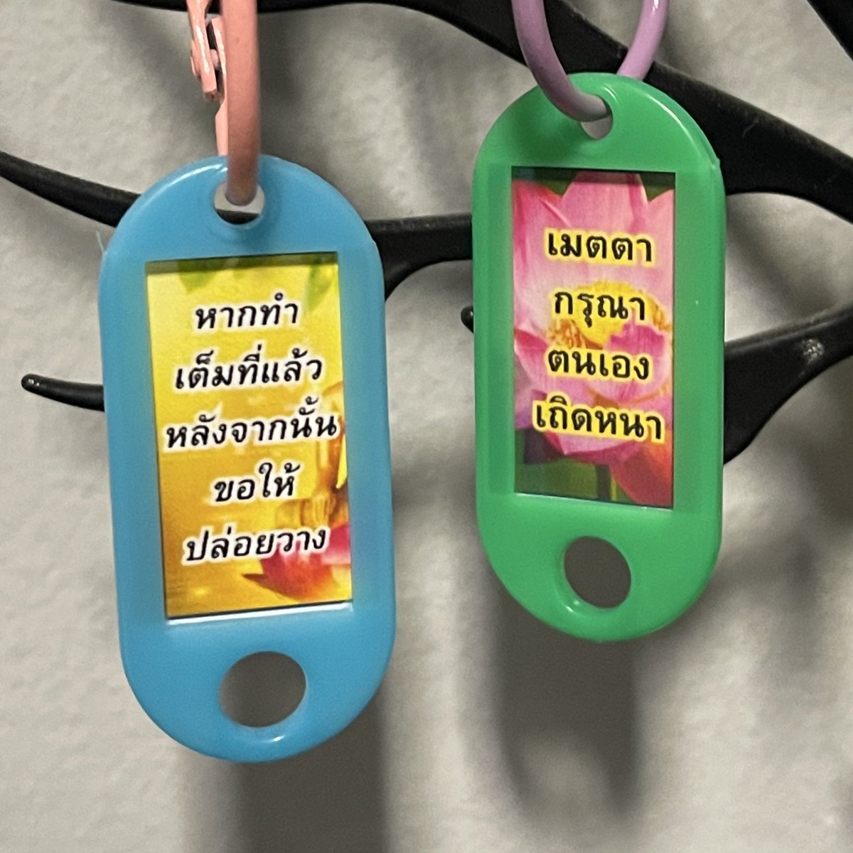 9lucine's tweet image. สาธุ