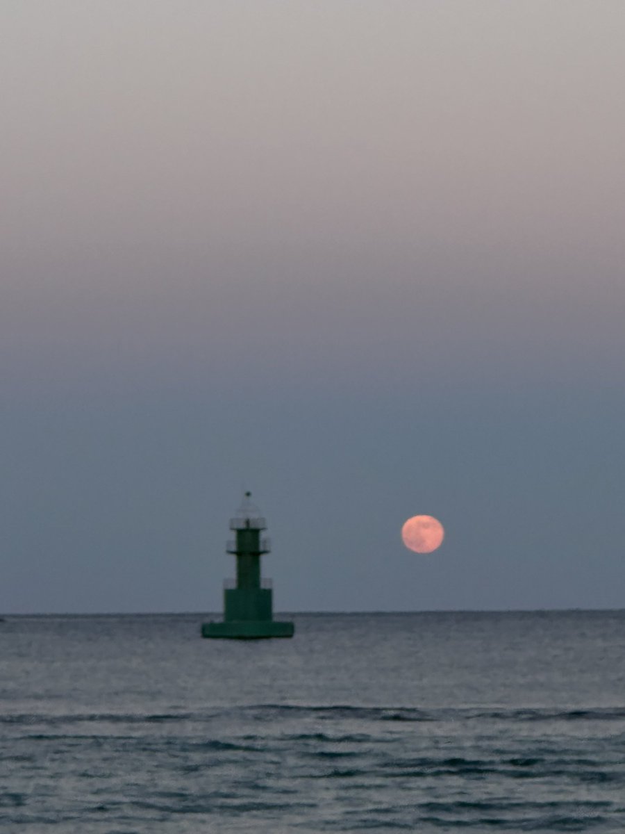 zucomdotcom's tweet image. 💚무계획 속초 식도락 여행 후기 타래💚

저는 일단 12월에 속초에 다녀왔는데요 저는 속초를 7살때부터 1년에 두번씩은 꼭 갔어요! 이번 여행은 올해 두번째 속초 여행이었는데 갑자기 떠난 여행이라 무계획이었거든요! 가볍게 풀어볼게요‼️

(먹는거 밖에 없음)
(지극히 주관적 취향)