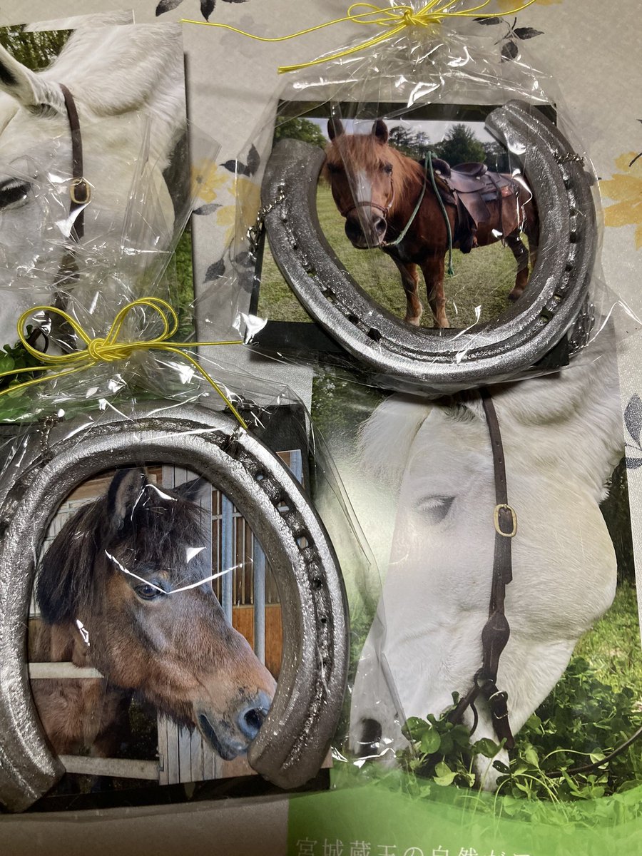 酒屋のSAKKA屋ニュース】 ZAOくるみの森ホースパークの馬たちの蹄鉄で