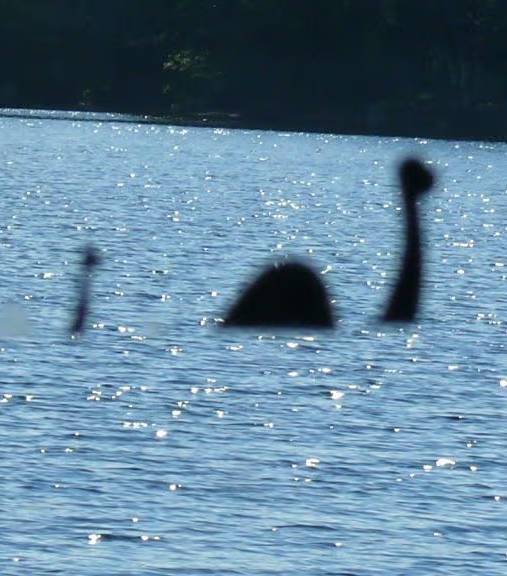 Dexerto's tweet image. Top Loch Ness Monster hunter says Nessie is fake after 52 years of searching

He says any sightings are ship wakes or other natural causes