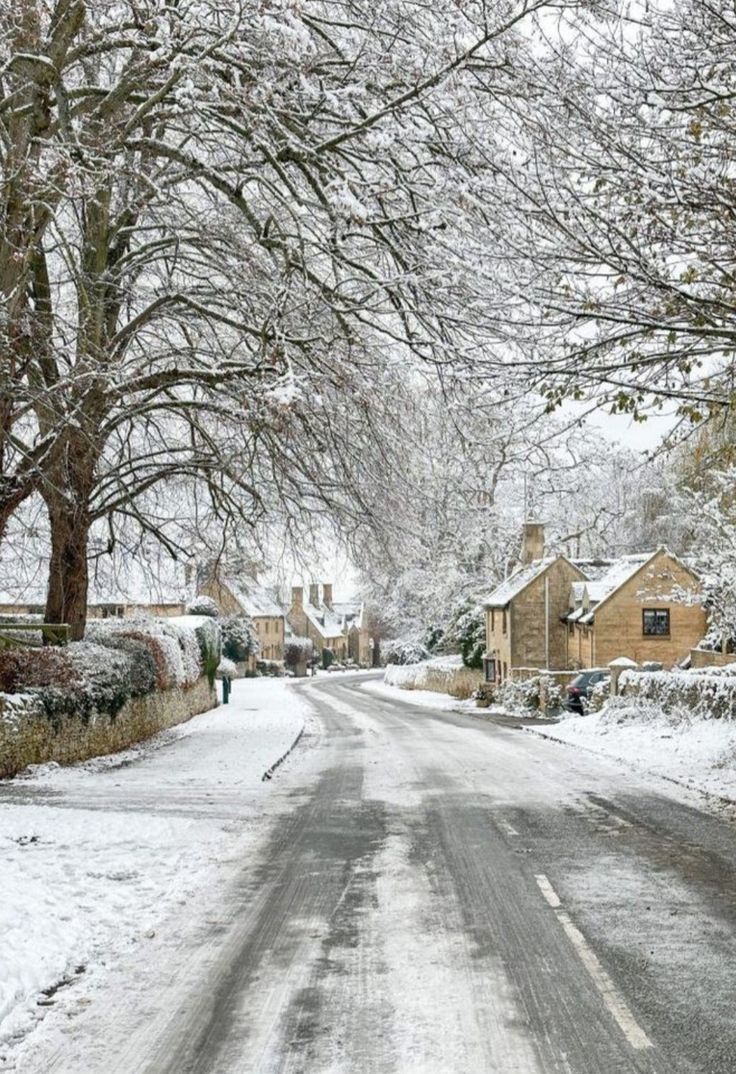 MozartCultures's tweet image. english countryside in winter