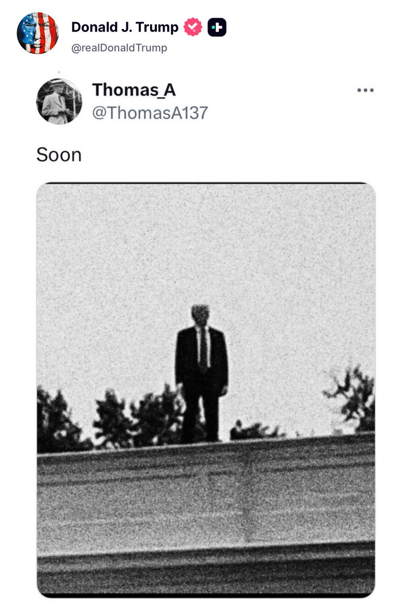 Goldie Ghamari | گلسا قمری 🇮🇷 tweet media