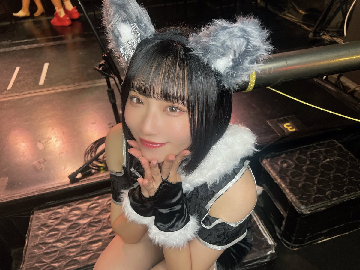 kyoko_365_'s tweet photo. よわよわ狼。。。🐺 https://t.co/sy57KRib0n