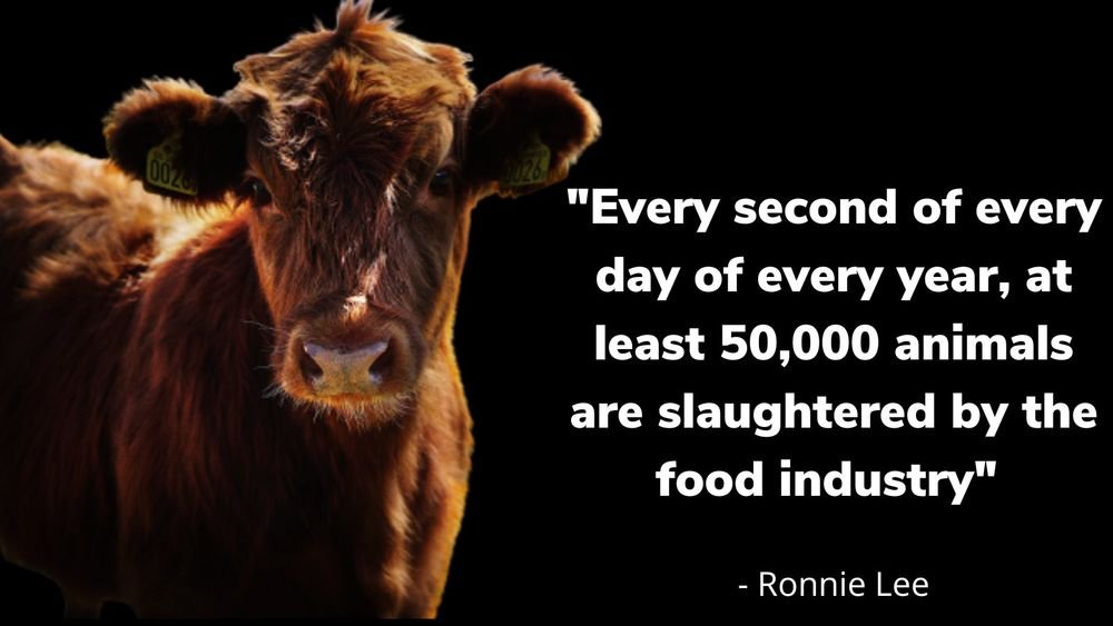 PathlessPilgrim's tweet photo. What we euphemistically call 'the food industry' is actually the biggest and longest-running holocaust that ever existed.  

Go vegan.

https://t.co/jeg8YAG5dB

#AnimalRights #Animals #Veganism https://t.co/S13e7vPfvE