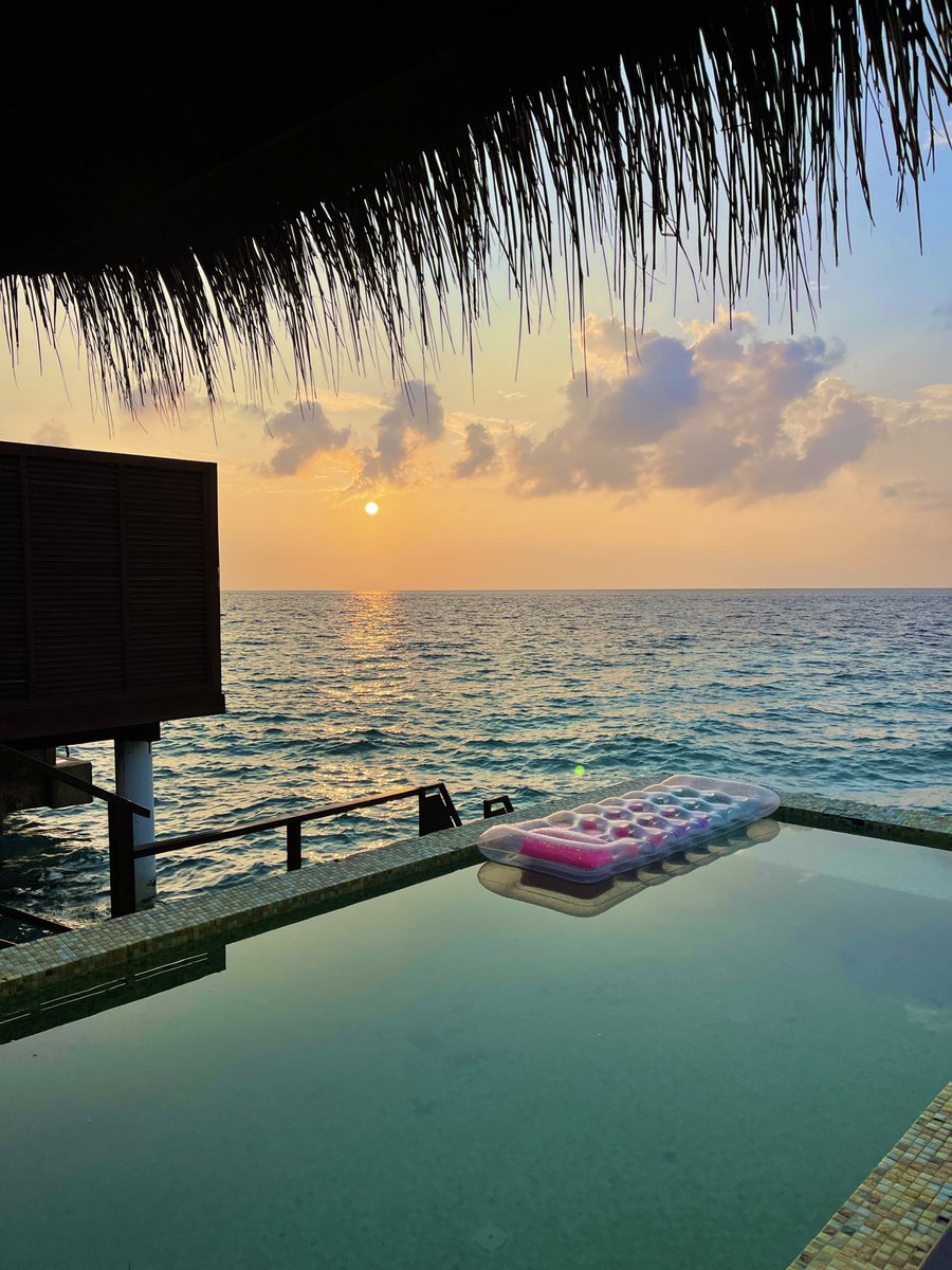 41L's tweet image. quick #giveaway 

0.25 $sol to five people

like or retweet, follow + drop ur sol addy 

thanks for 700 followers this is just the beginning 🧡