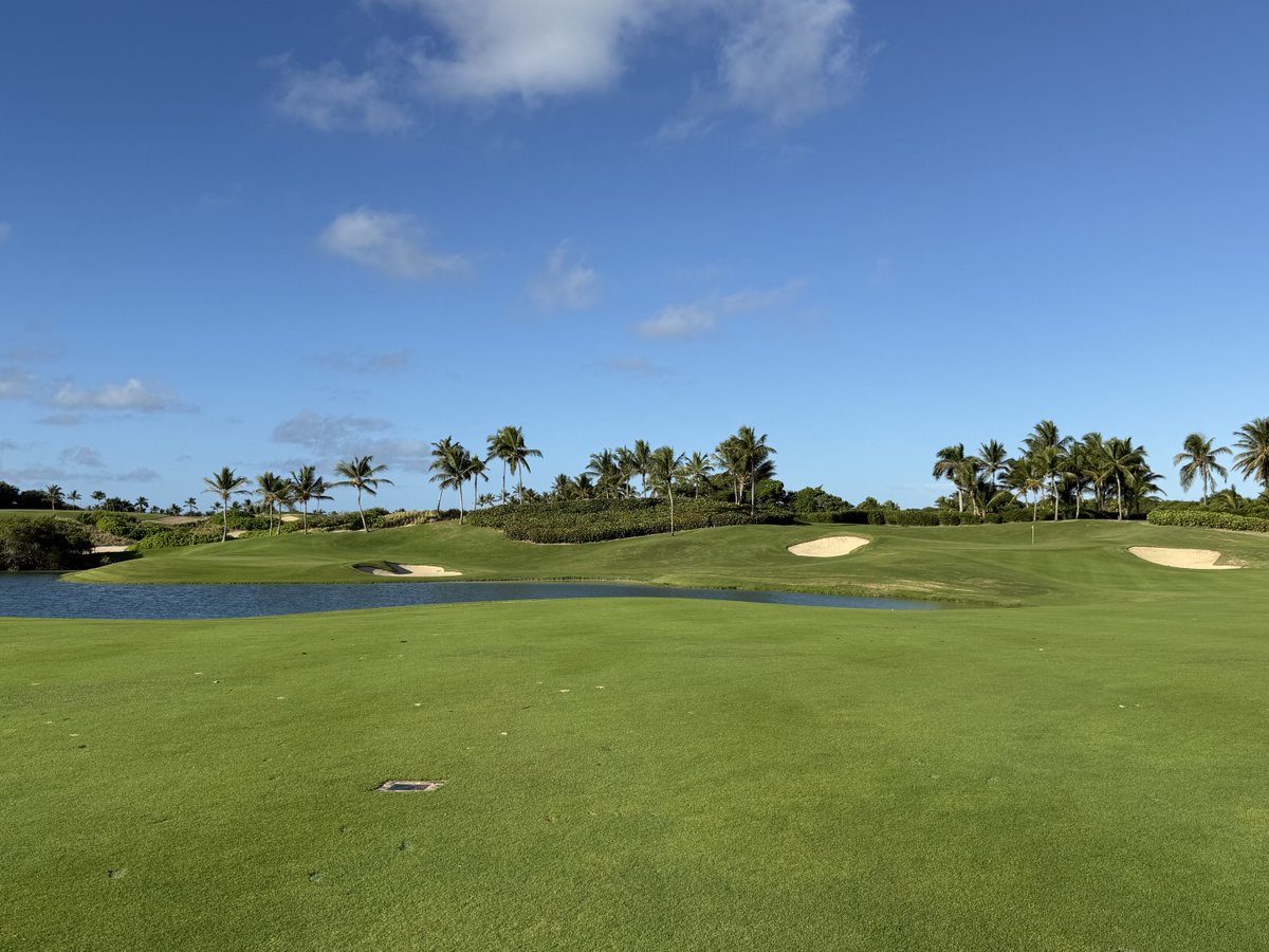 golf course enthusiast tweet media