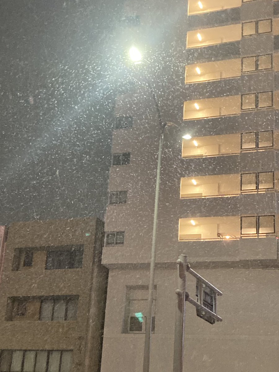 変わりゆく雨は雪にーーー(絶望)