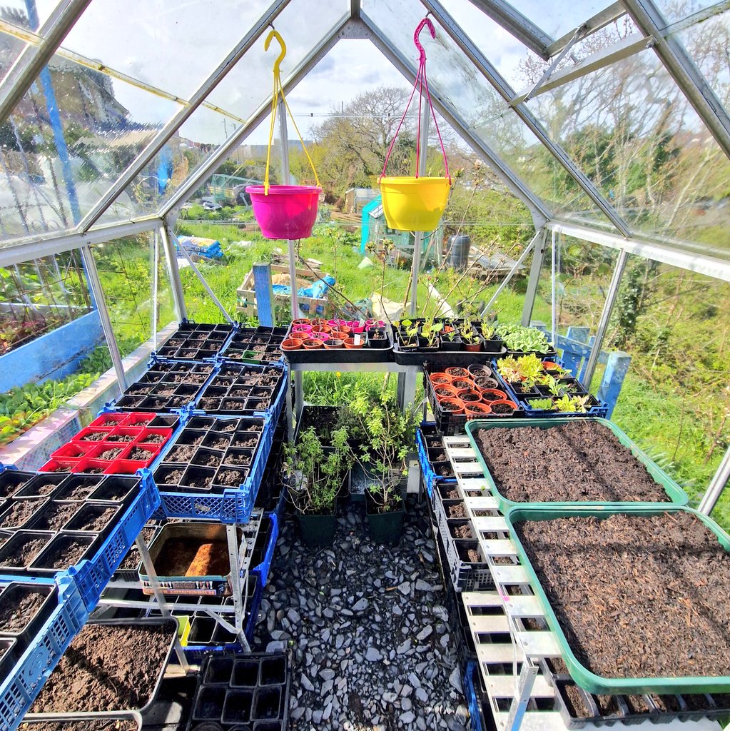 🌱Lovely_Plot 💅🇵🇱🇬🇧🪷🐞🐝 tweet media