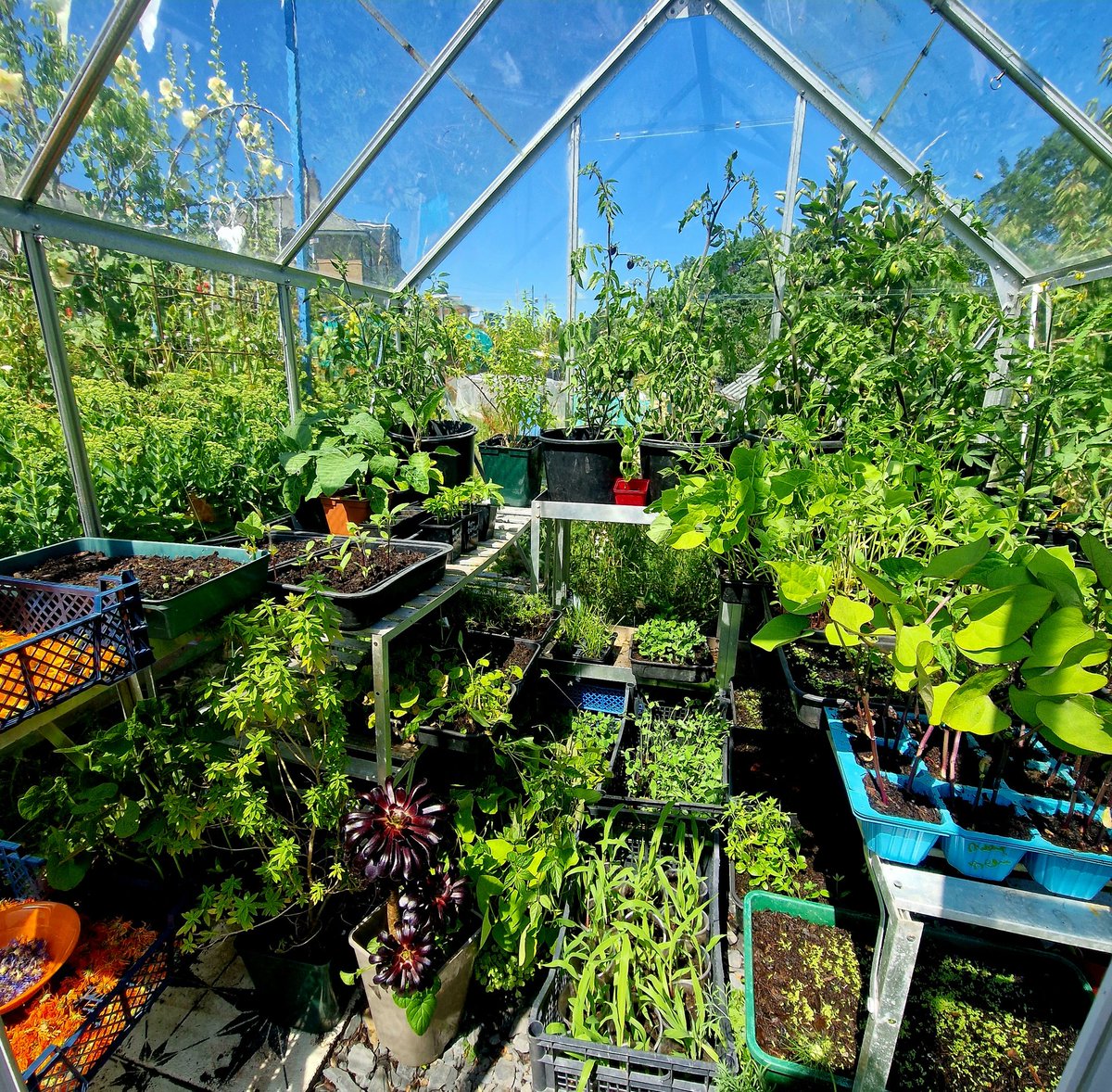 🌱Lovely_Plot 💅🇵🇱🇬🇧🪷🐞🐝 tweet media