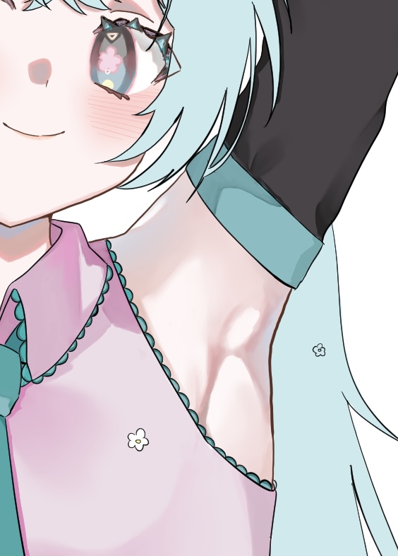 SycGVOu0Jb85975's tweet image. わきとふともも
#初音ミク