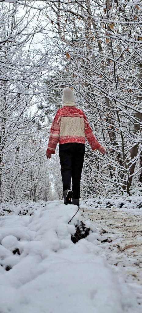 ilse janssens tweet media