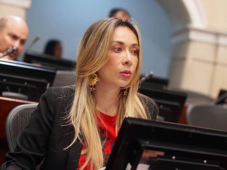 El Cartel de los Solapados