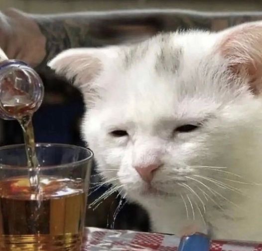 born to be an artist, philosopher, and gamer but forced to trade memecoins