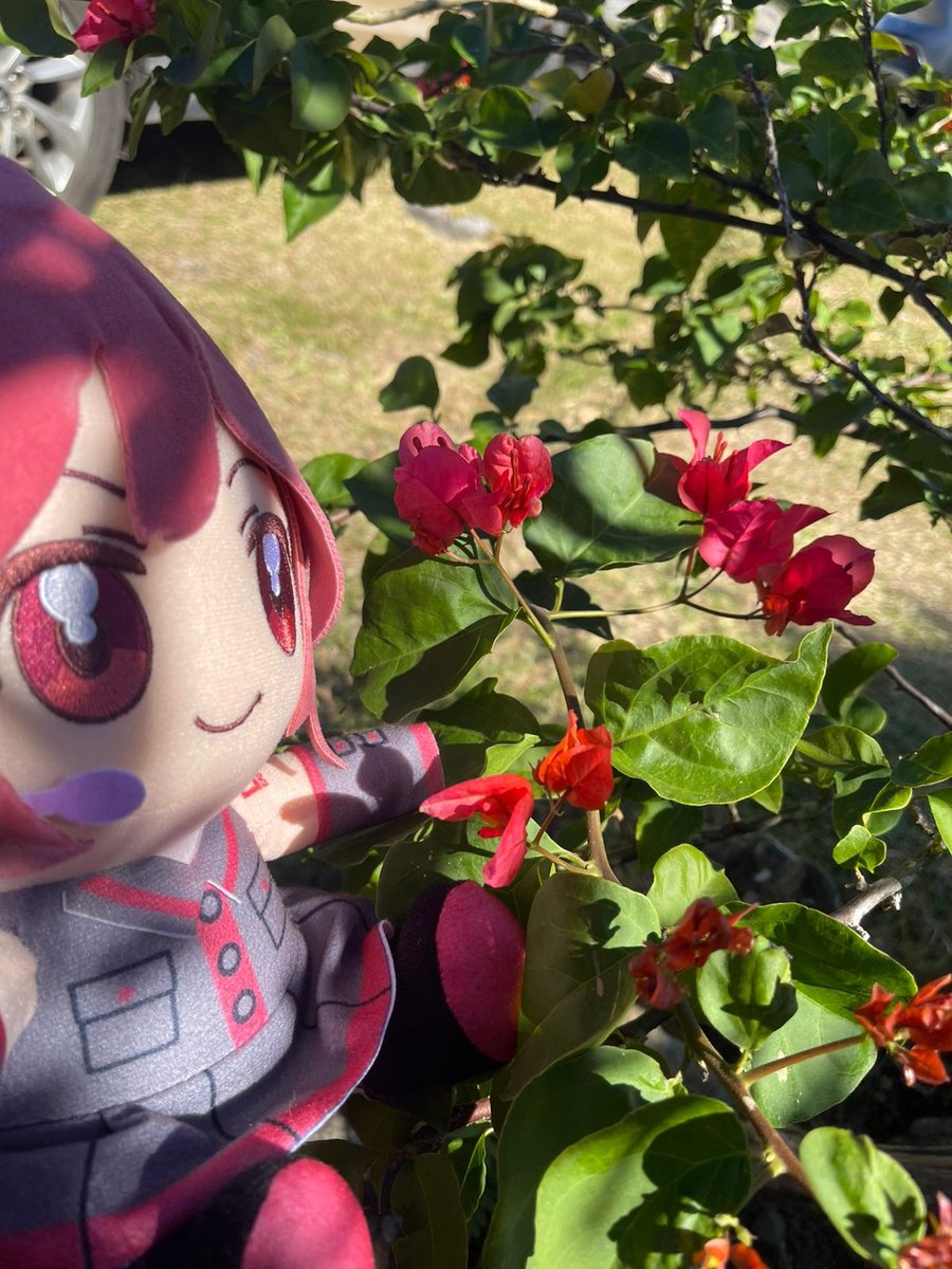 20_wolfboy's tweet image. Good morning