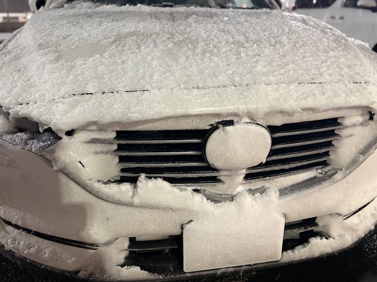 写真家 井上嘉代子/Kayoko Inoue tweet media